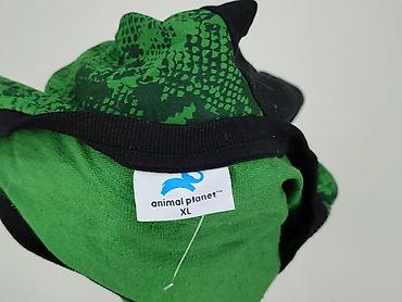 polizei bluza: Bluza damska
, rozmiar XL — 4