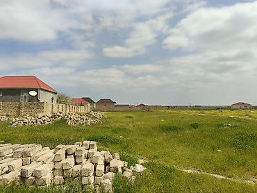 binədə: Kənd təsərrüfatı, Kupça (Çıxarış) — 5
