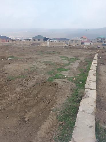 Torpaq: 8 sot, Tikinti, Maklerlər narahat etməsin, Kupça (Çıxarış) — 10