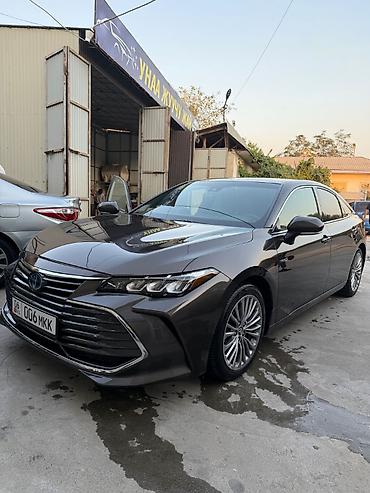 усилители одиссей: Toyota Avalon: 2019 г. — 5