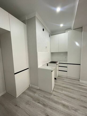 Продажа домов: 2 комнаты, 65 м², Элитка, 11 этаж, Евроремонт