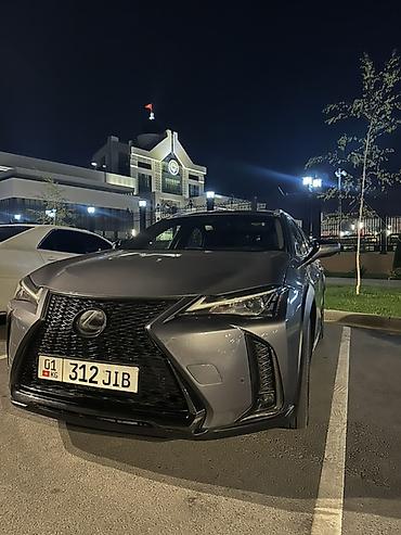 р19 шины: Lexus UX: 2019 г., 2 л, Автомат, Бензин, Кроссовер — 1