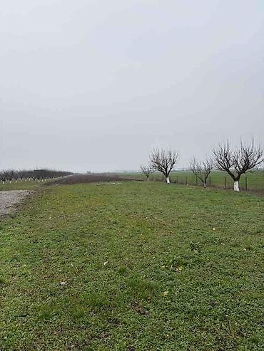 Prodaja zemljišta: Plac Ugrinovci centar, 110 ari + voćnjak Uknjižen 1/1 na ime vlasnika — 3