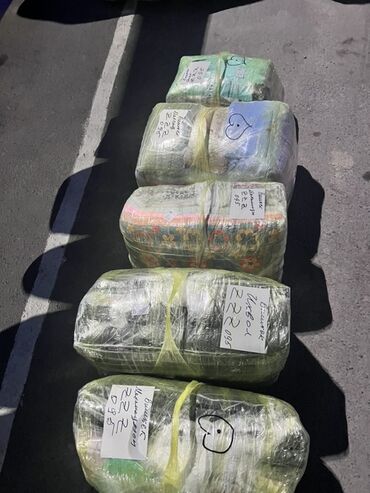 Организация мероприятий: Предлагаем туры в Хоргос с комфортабельным VIP автобусом, оснащенным — 7