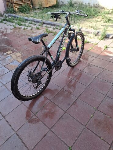 lenkeran velosiped: İşlənmiş Trek velosipedi Velocruz, 26", Ünvandan götürmə