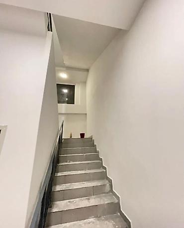 Покраска: Покраска стен, Покраска потолков, Покраска окон, На масляной основе, На водной основе, Больше 6 лет опыта — 2