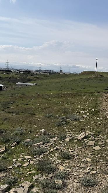 quba şəhəri: Tikinti, Kupça (Çıxarış) — 10