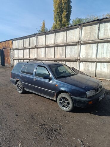 амортизатор на сивик: Volkswagen Golf: 1994 г., 1.8 л, Механика, Газ, Универсал