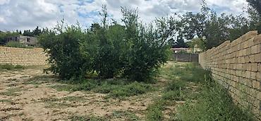 maştağada torpaq: 4 sot, Tikinti, Mülkiyyətçi, Kupça (Çıxarış) — 3