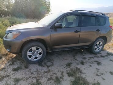 человек собирающий марки: Toyota RAV4: 2009 г., 2.5 л, Автоматические, Бензин, Кроссовер