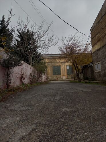 Restoran, kafelər: Tecili Heyder Eliyev prospektinde Wefa stadiondan uzu Korogluya esas — 7