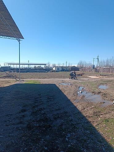 Продажа сельхоз предприятий: 1000 соток, Действующий, Частично с оборудованием, Электричество, Скважина, Холодная вода — 9