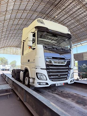 daf даф: Тягач, DAF, 2020 г., Без прицепа — 2