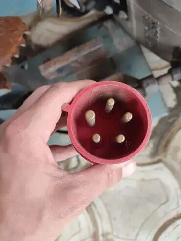 slikanje portreta ulje na platnu: Cirkular sa stegom – ODLIČNO! Originalni cirkular u odličnom stanju