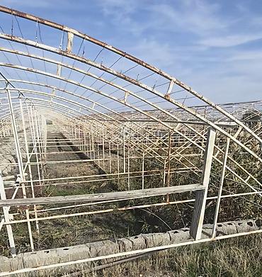 Күнөсканалар: Продам металлический каркас тепличного комплекса (индустриальные — 3