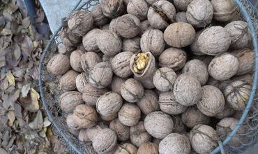 ич кийим: Продаю орехи, грецкие. орехи с одного дерева, тонкокорые, легко