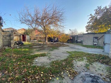 Torpaq sahələrinin satışı: 8 sot, Tikinti, Makler, Kupça (Çıxarış) -da lalafo.az — 3 Torpaq sahələrinin satışı: 8 sot, Tikinti, Makler, Kupça (Çıxarış) — 3