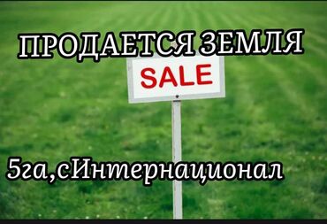 земля каракол: Для сельского хозяйства, Договор купли-продажи