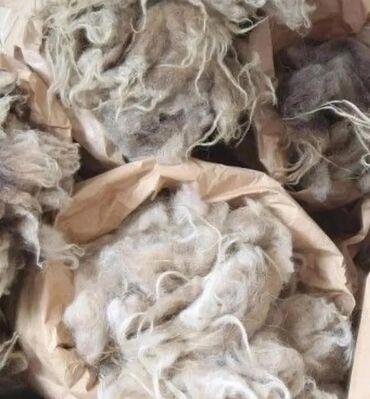 qoyun paltari: Qoyun yunu satılır.Çəkisi 800 kq.Hamısı bütöv şəkildə satılır.Real