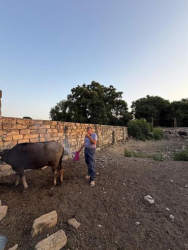 Torpaq sahələrinin satışı: Kənd təsərrüfatı, Mülkiyyətçi -da lalafo.az — 10 Torpaq sahələrinin satışı: Kənd təsərrüfatı, Mülkiyyətçi — 10