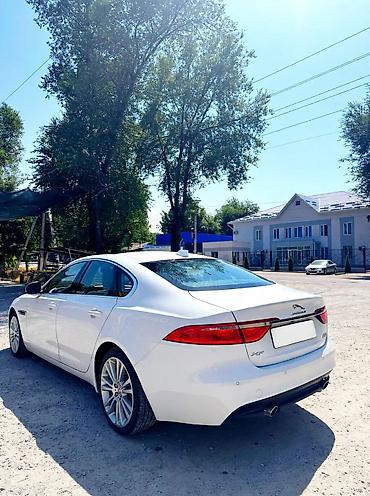 Jaguar XF: 2020 г., Автомат, Седан at lalafo.kg Jaguar XF: 2020 г., Автомат, Седан