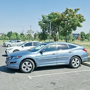 зимнее: Honda Crosstour: 2010 г., 3.5 л, Автомат, Газ, Кроссовер — 1