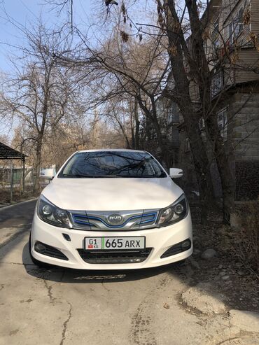 BYD: BYD
2019 года 
Пробег 72000 тысяч