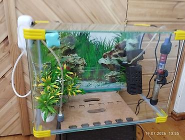 akvaryum altlığı: Dördbucaq akvarium, Boş, 35 l — 1