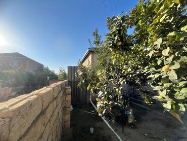 Həyət evləri və villaların satışı: 3 otaqlı, 115 kv. m, Kredit yoxdur, Yeni təmirli — 26