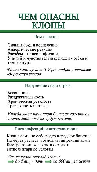 мраморные тараканы: Профессиональная дезинсекция от тараканов — DEZEXPERT Что предлагаем — 10