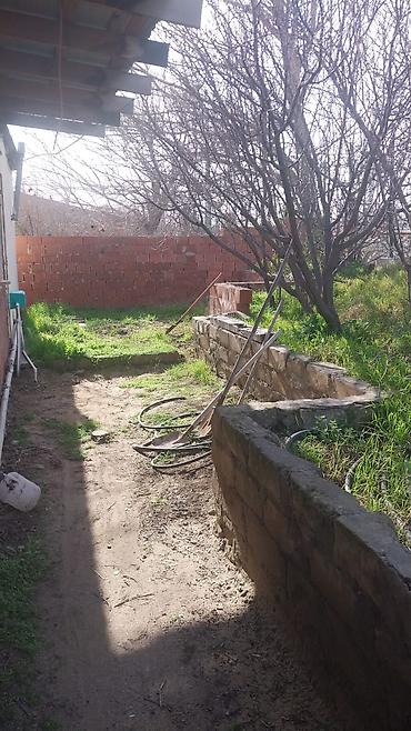 ecemide kiraye evler ucuz: 3 otaqlı, 200 kv. m, Kredit yoxdur, Orta təmir — 1