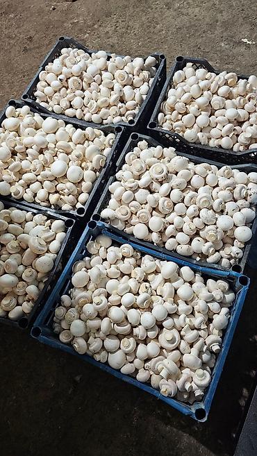 Грибы: Грибы Шампиньоны, Бесплатная доставка — 2