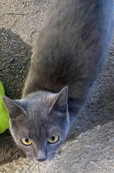 pisi: Девочка 1 год — 3