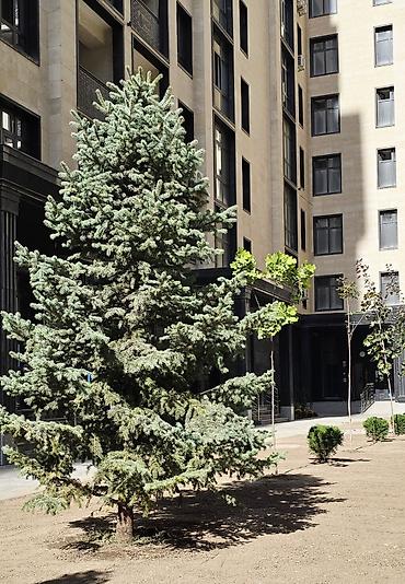 Продажа квартир: 2 комнаты, 78 м², Асанбай мкр Элитка, 10 этаж — 16