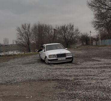 Mercedes-Benz: Mercedes-Benz W124: 1991 г., 2.9 л, Механика, Дизель, Седан — 1