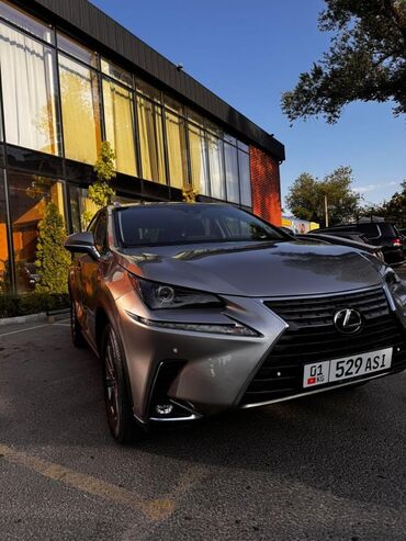 гранаты лексус: Lexus NX: 2018 г., 2 л, Автоматические, Бензин, Внедорожник