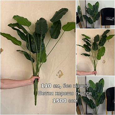 эвелины цветы: Искусственные растения 
Цены на фото — 3