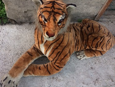 минитрактор бу: Продаю мягкую интерактивную игрушку тигра горят глаза и рычит
