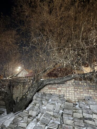 шкаф даром: Отдам в добрые руки дерево на дрова дерево упало, БЕСПЛАТНО!