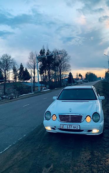 фары на опель вектра а: Mercedes-Benz E-Class: 2001 г., 2.2 л, Механика, Дизель, Седан — 3