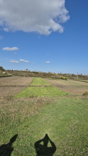 1 комнатная квартира в баку: 81 sot