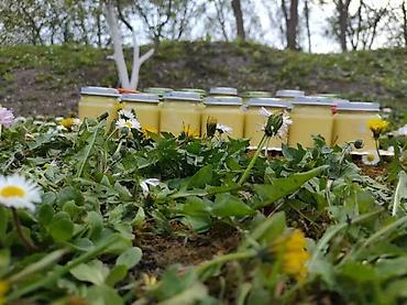 silikonska podloga za presvlacenje: KREMA OD CVETA MASLAČKA 100GR | Domaće kreme od cveta maslačka — 3