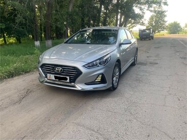 двери на 210: Hyundai Sonata: 2018 г., 2 л, Автомат, Газ, Седан