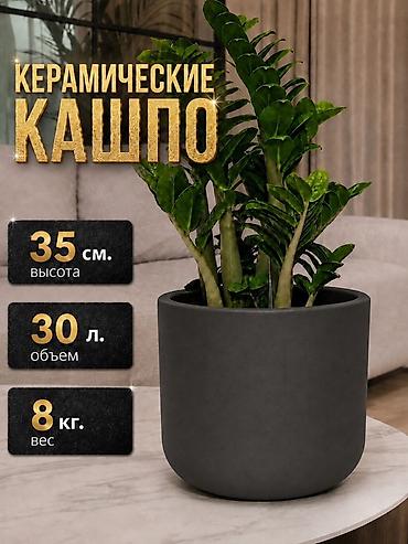 терассой: Кашпо и вазоны, Платная доставка, Самовывоз — 5