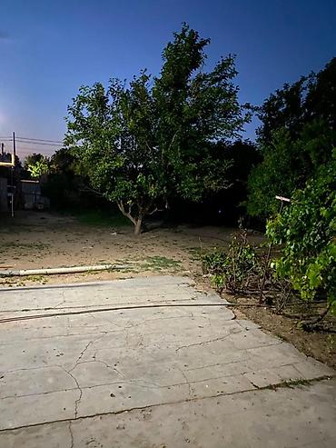 Həyət evləri və villalar: 🏡 Satılır – 16 sot həyət evi 📍 Ünvan: Köhnə Suraxanı ✅ Həyətdə — 7