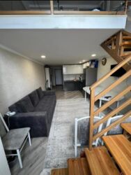 Продажа квартир: 2 комнаты, 56 м², Индивидуалка, 1 этаж, Евроремонт — 1