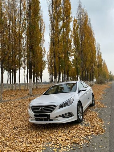 купить багажник на крышу автомобиля бу: Hyundai Sonata: 2019 г., Автомат, Газ, Седан