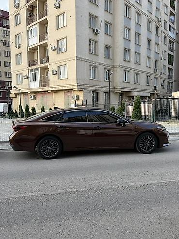 daf 2019: Toyota Avalon: 2019 г., 2.5 л, Автомат, Бензин, Седан — 3