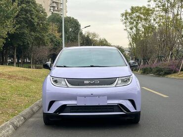 BYD: BYD Dolphin: 2022 г., Автомат, Электромобиль, Универсал — 8