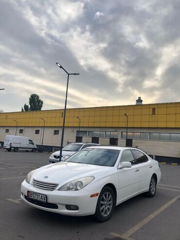 тойота оппа: Toyota Windom: 2003 г., 3 л, Автомат, Газ, Седан